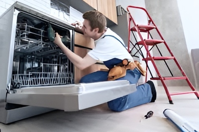 Dishwasher repair in La Palma